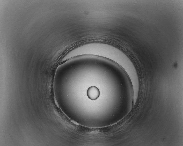 X0000116890505200912291306