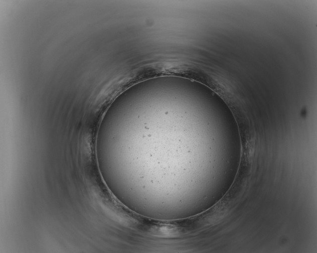 X0000116890506200912291306