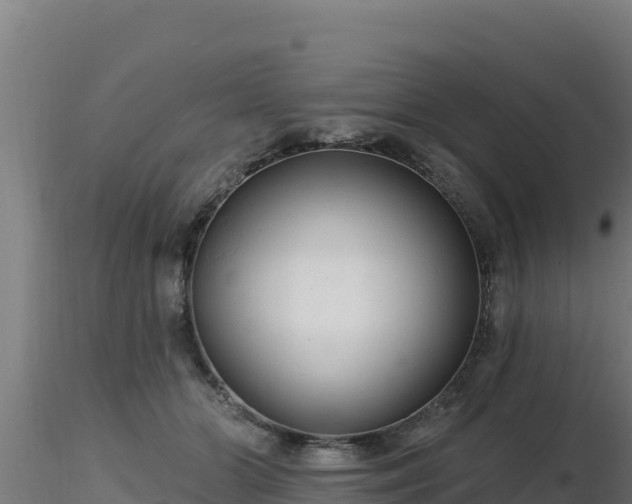 X0000116890510200912291306