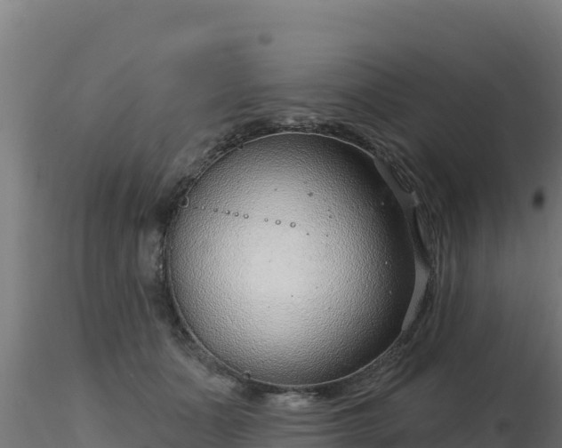 X0000116890511200912291306
