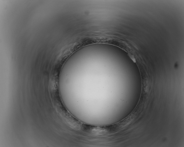 X0000116890515200912291306