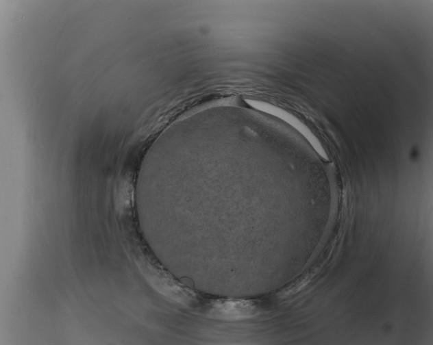 X0000116890517200912291306