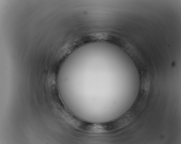 X0000116890518200912291306