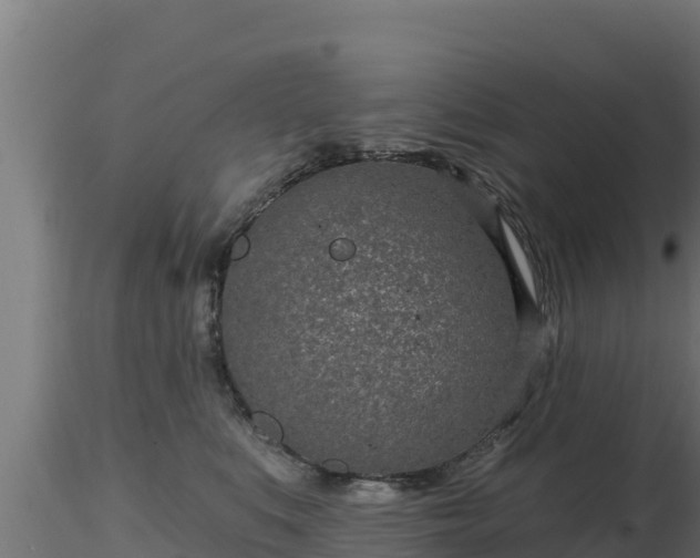 X0000116890519200912291306