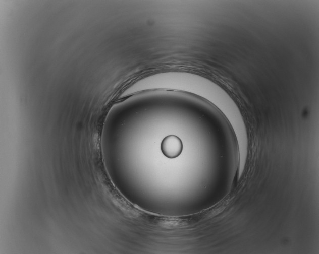 X0000116890521200912291306