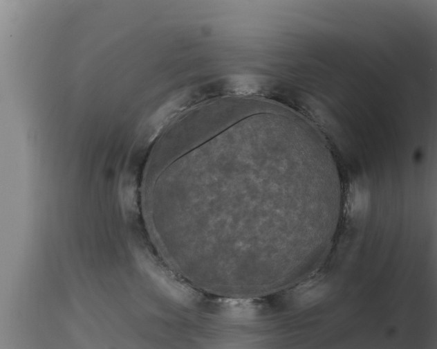 X0000116890524200912291306