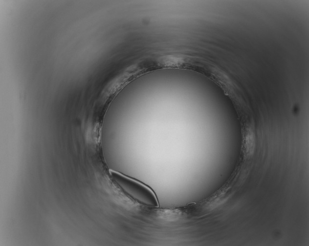 X0000116890525200912291306