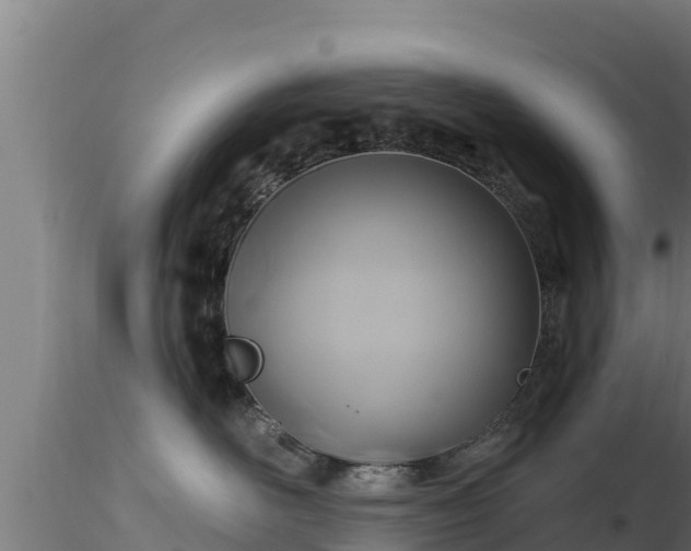 X0000116890526200912291306