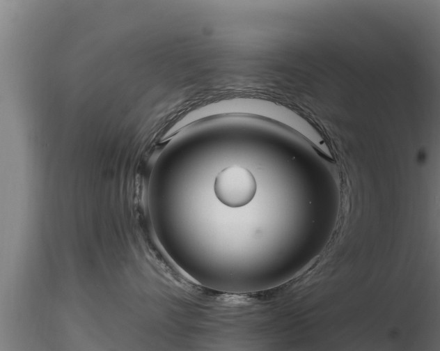 X0000116890528200912291306