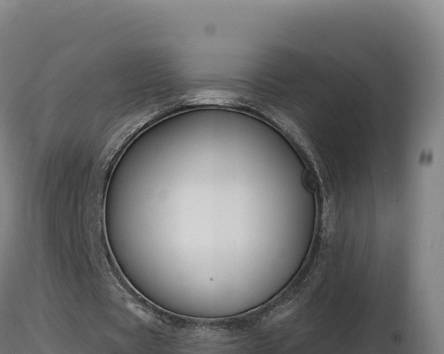 X0000116890529200912291305