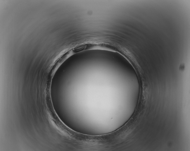 X0000116890530200912291305