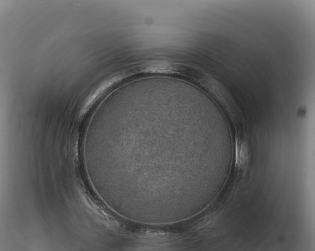 X0000116890531200912291305