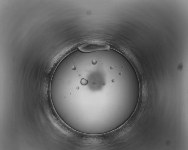 X0000116890533200912291305
