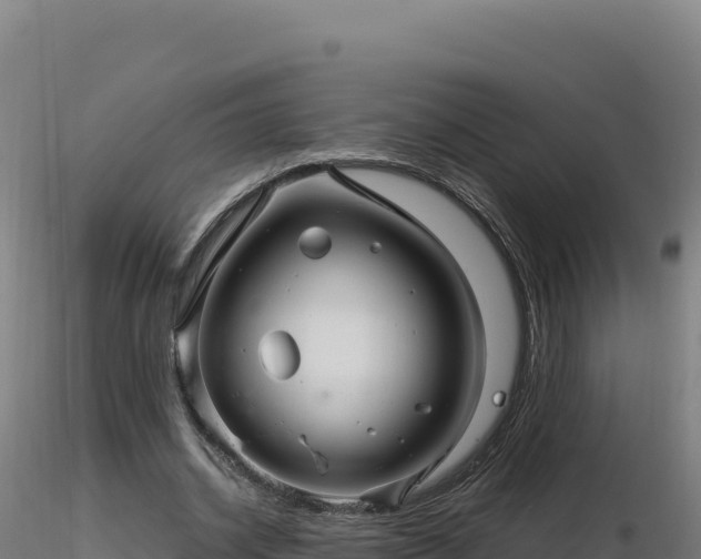 X0000116890534200912291305