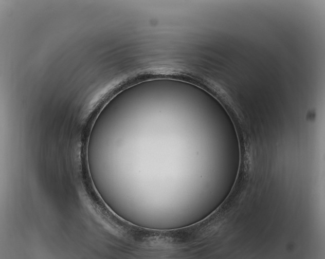 X0000116890535200912291305