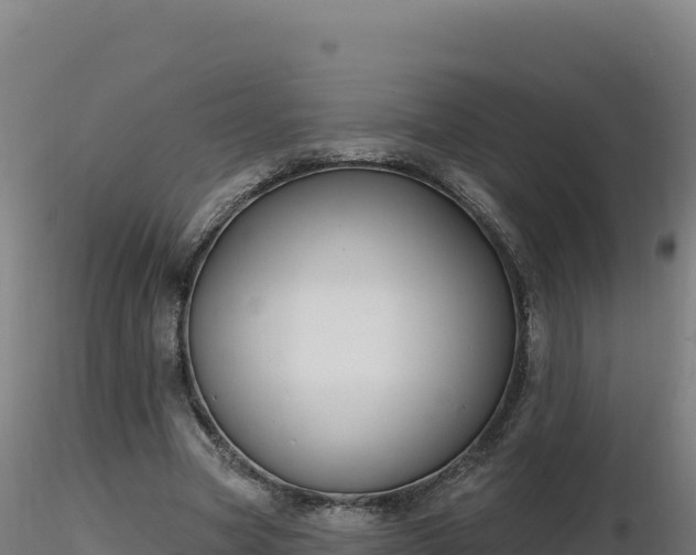 X0000116890537200912291305