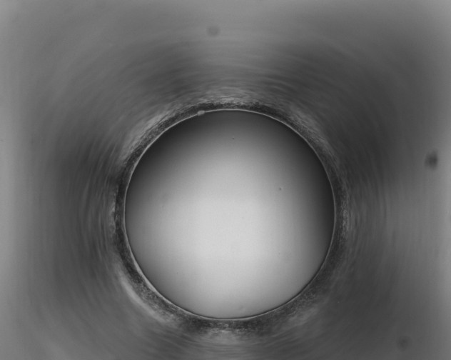 X0000116890538200912291305