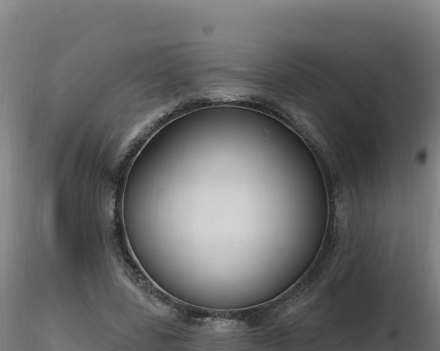 X0000116890539200912291305