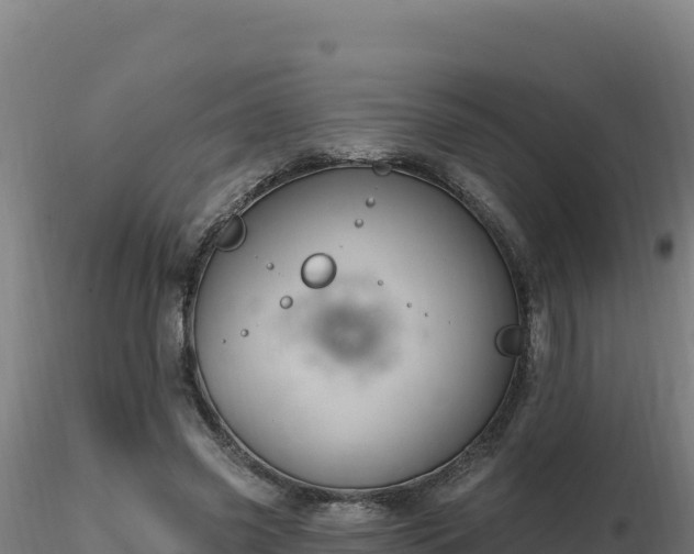 X0000116890541200912291305