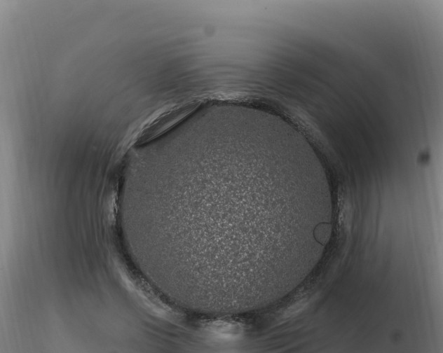 X0000116890542200912291305