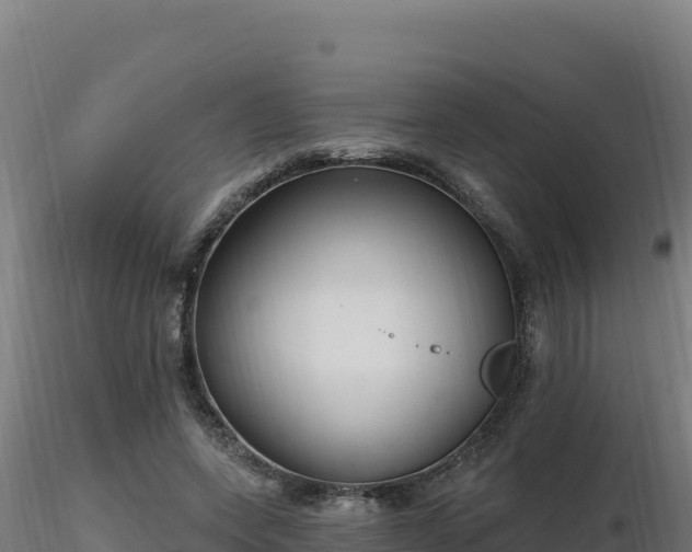 X0000116890543200912291305