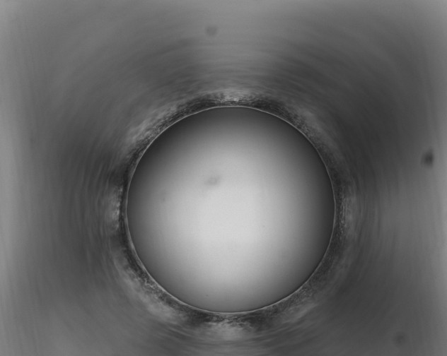X0000116890545200912291305