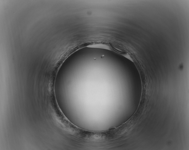 X0000116890546200912291305