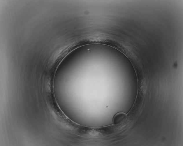 X0000116890547200912291305