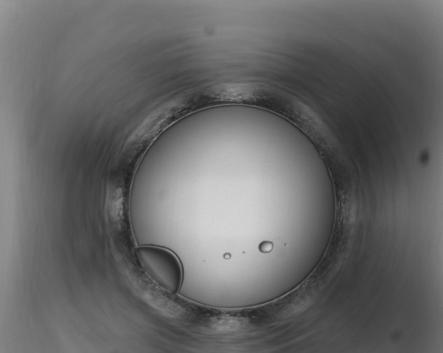 X0000116890549200912291305