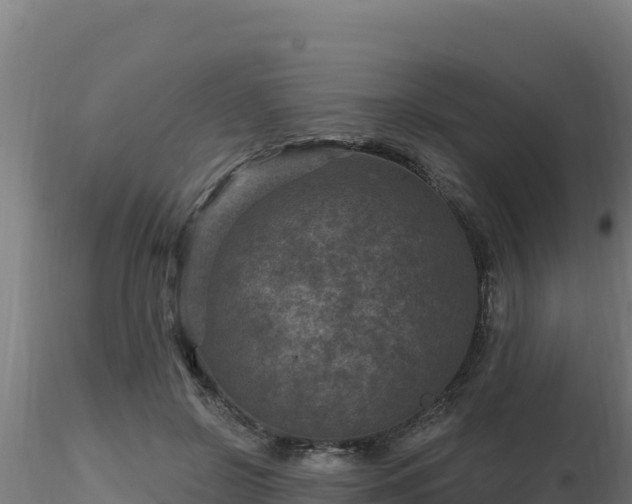 X0000116890550200912291305