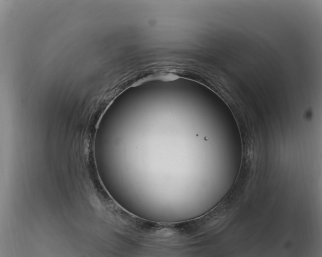 X0000116890551200912291305