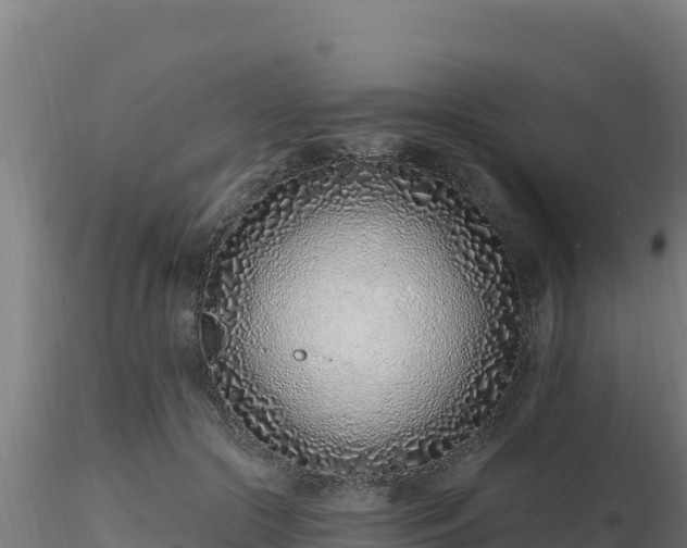 X0000116890553200912291305