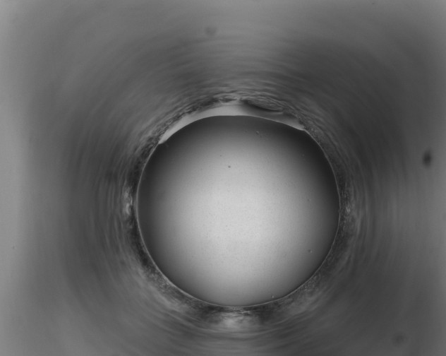 X0000116890555200912291305