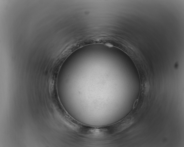 X0000116890558200912291305