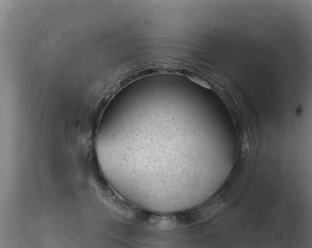 X0000116890559200912291305