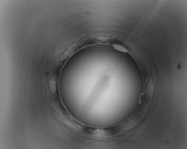 X0000116890562200912291305
