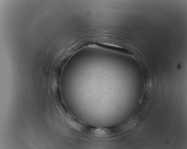 X0000116890566200912291305