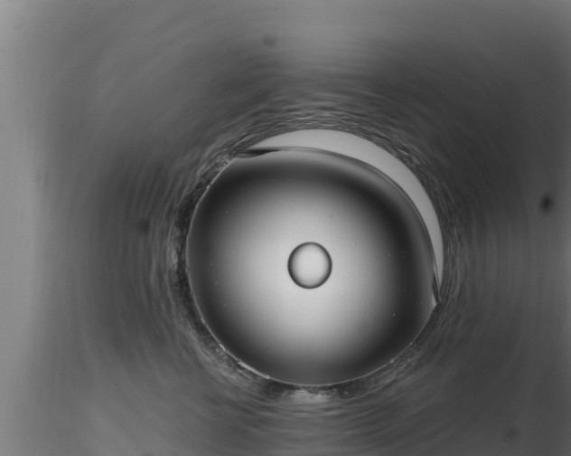 X0000116890570200912291305