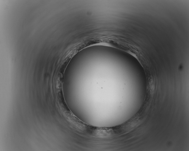 X0000116890571200912291306