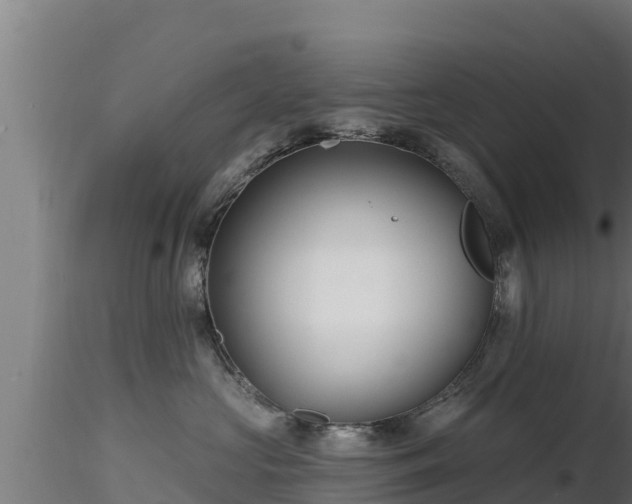 X0000116890573200912291306