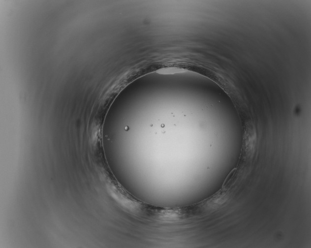 X0000116890574200912291306