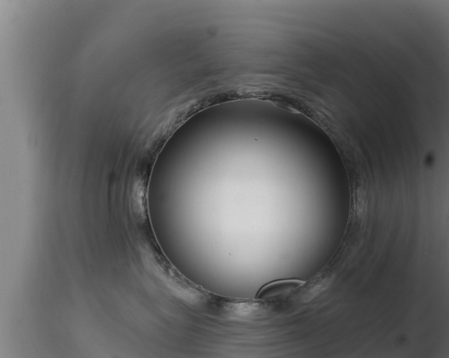 X0000116890575200912291306