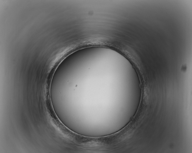 X0000116890578200912291305