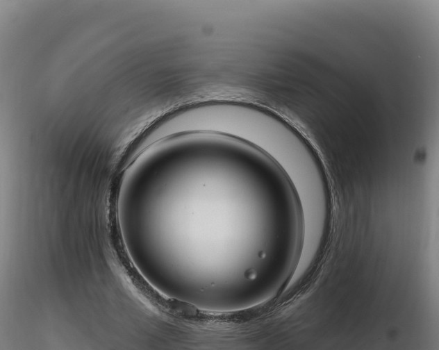 X0000116890581200912291305