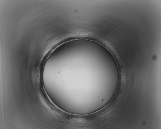 X0000116890582200912291305