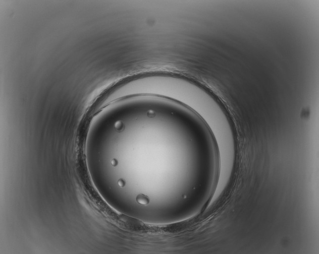 X0000116890583200912291305