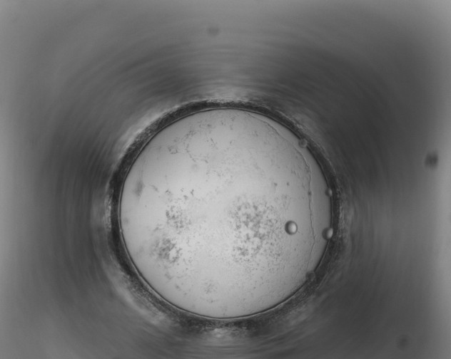 X0000116890584200912291305