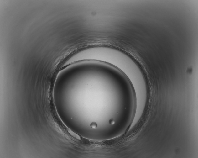 X0000116890585200912291305