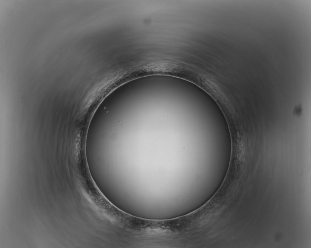 X0000116890586200912291305