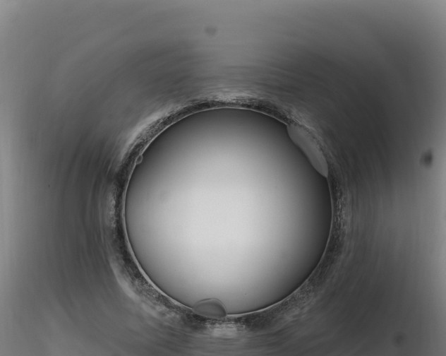 X0000116890587200912291305